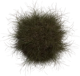 Grass Medium 02