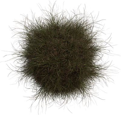 Grass Medium 02
