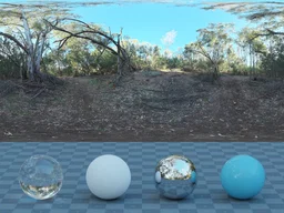 Gum Trees