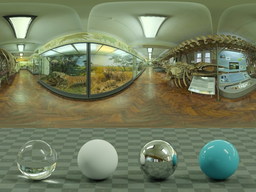 Hall of Mammals
