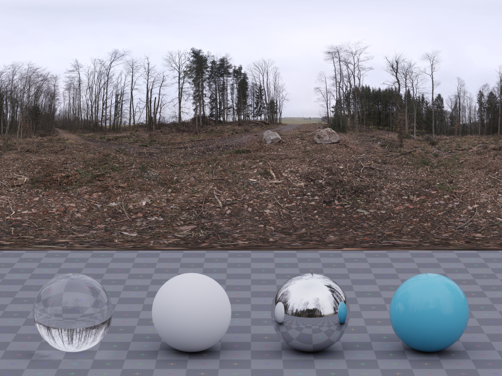 HDRI – Hochsal Forest – low contrast - thumbnail 3