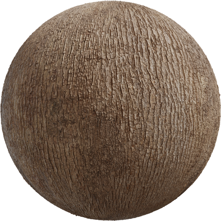 Japanese Camphor Bark