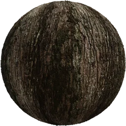 Jolcham Oak Bark 01