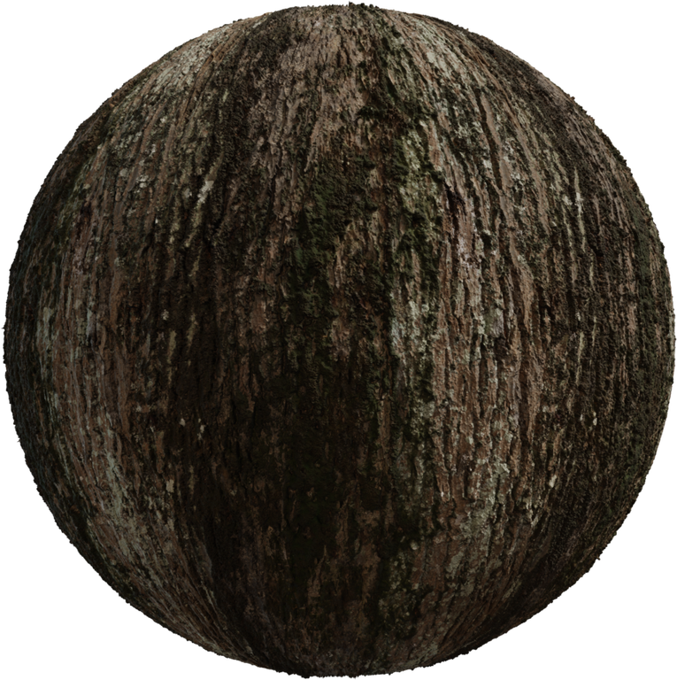 Jolcham Oak Bark 01