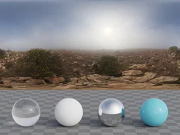 Kloofendal 28d Misty