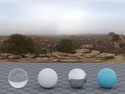 Kloofendal Misty Morning