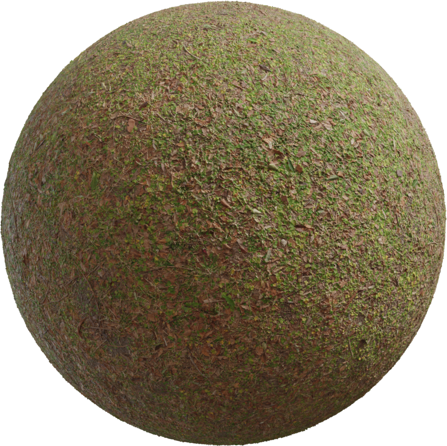 Leafy Grass