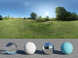 Meadow 2