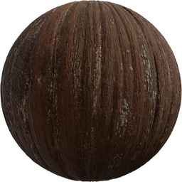 Metasequoia Bark