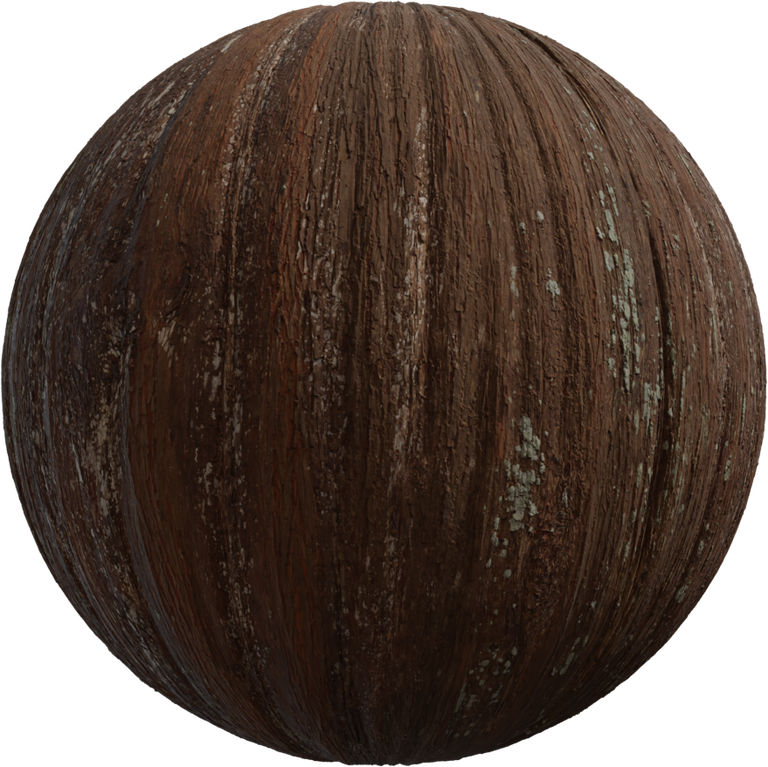 Metasequoia Bark