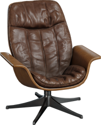 Mid Century Lounge Chair