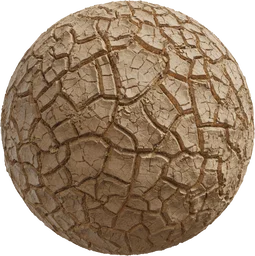 Mud Cracked Dry 03