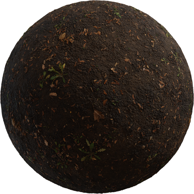 Mud Forest Texture • Poly Haven