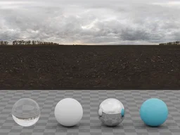 Overcast Soil