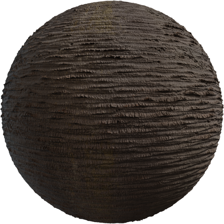 Palm Bark