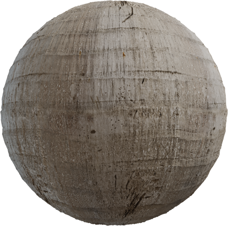 Palm Tree Bark