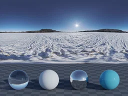 Passendorf Snow