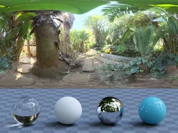 Pond