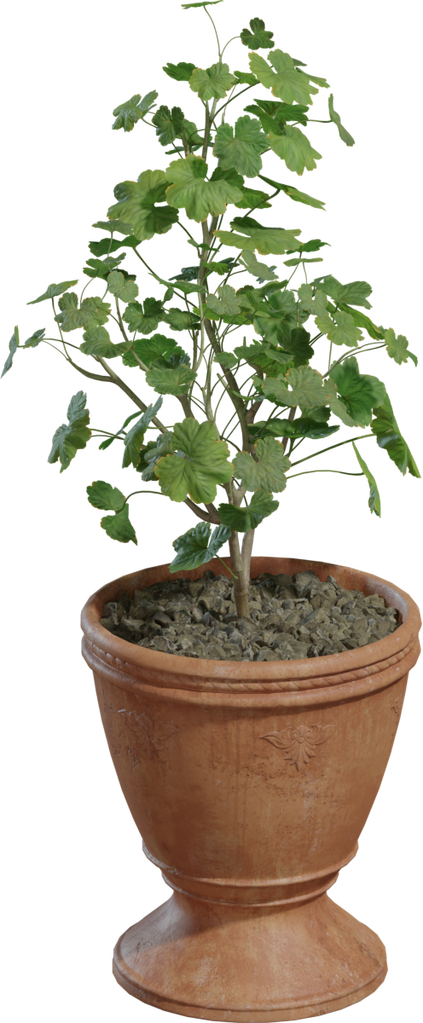 Potted Plant 01