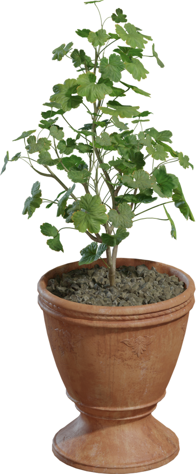 Potted Plant 01