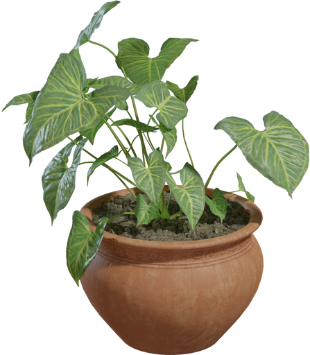 Potted Plant 02 — free food & plants CC0 3D model
