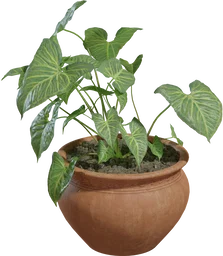 Potted Plant 02