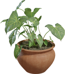 Potted Plant 02