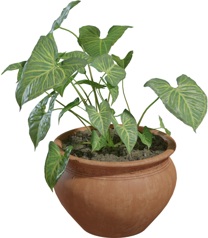 Potted Plant 02