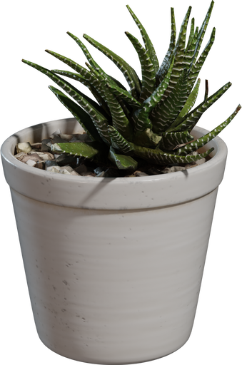 Potted Plant 04 — free food & plants CC0 3D model