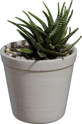 Potted Plant 04