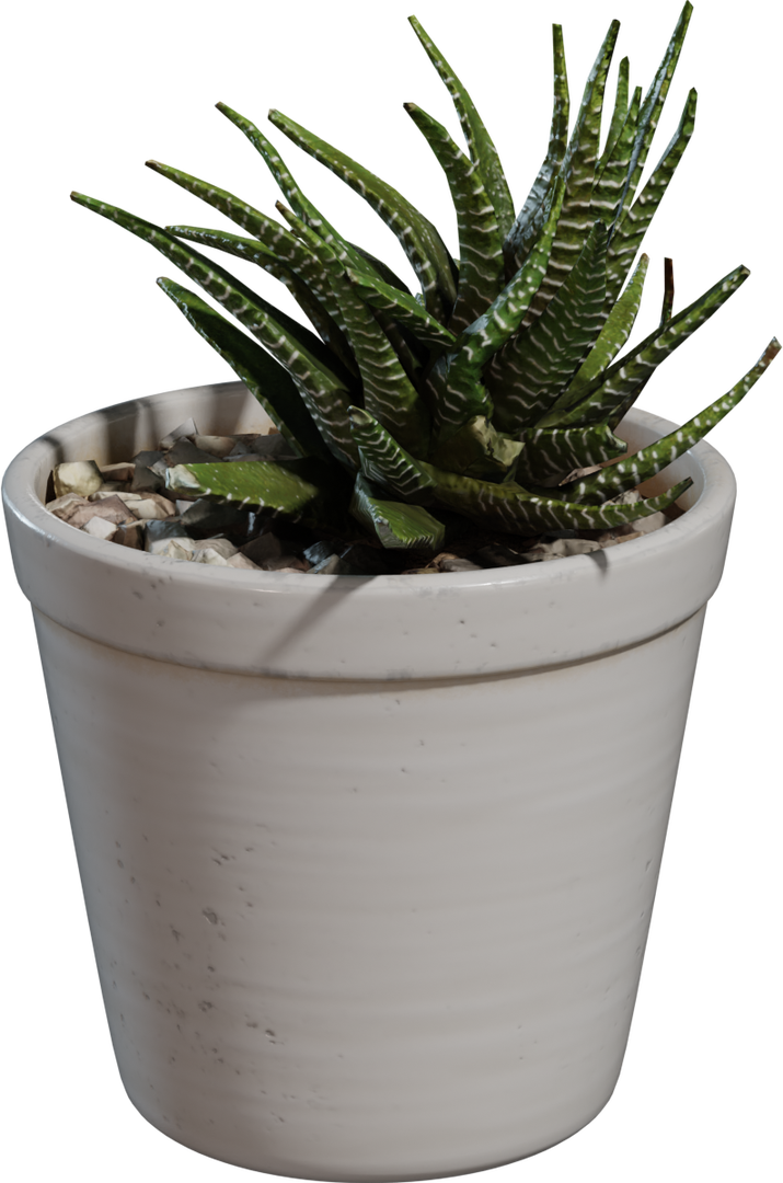 Potted Plant 04