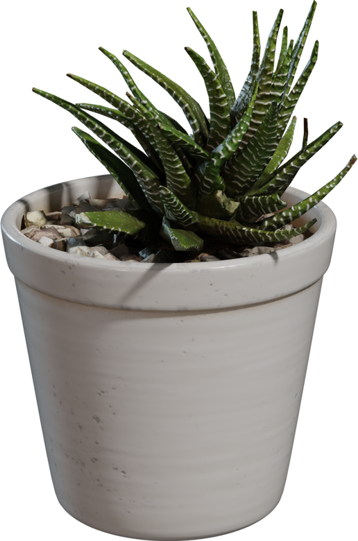 Potted Plant 04