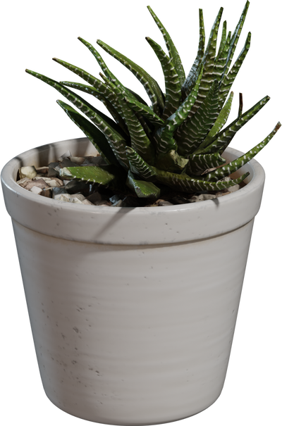 Potted Plant 04