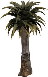 Quiver Tree 02
