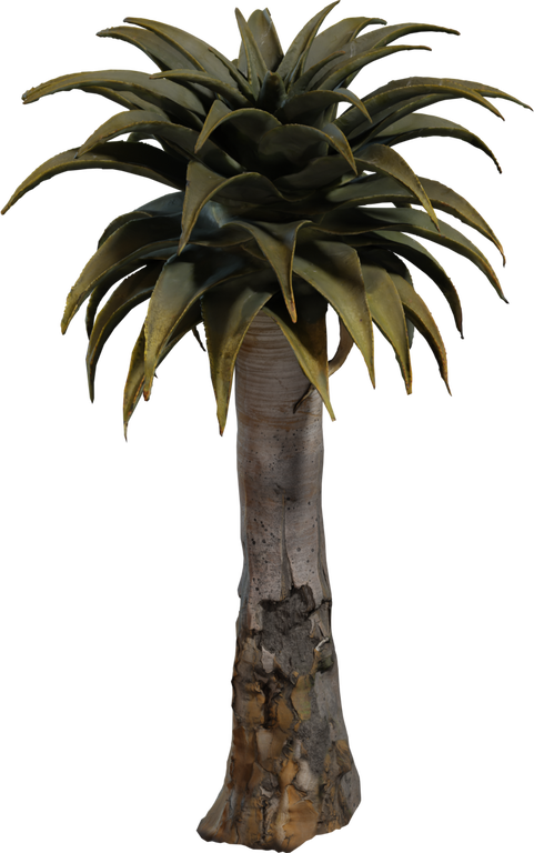 Quiver Tree 02