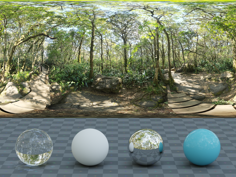 Rainforest Trail