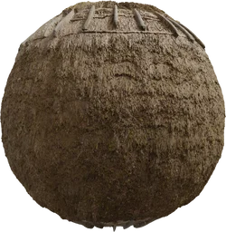 Reed Roof 03
