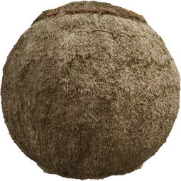 Reed Roof 04