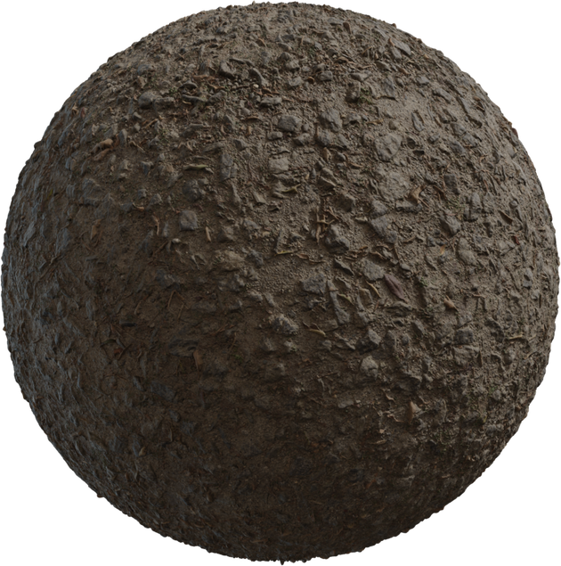 Rock Path Texture • Poly Haven