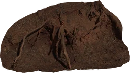 Root Cluster 01