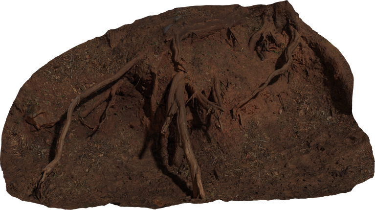 Root Cluster 01