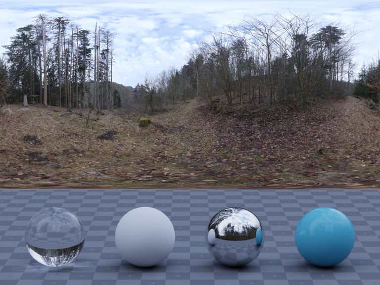 Schachen Forest