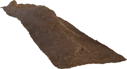 Single Root