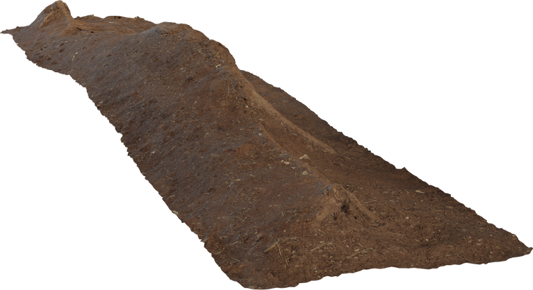 Single Root