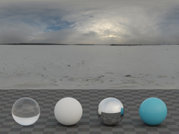 Snow Field