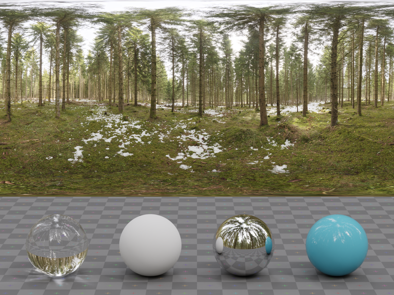 Snowy Forest