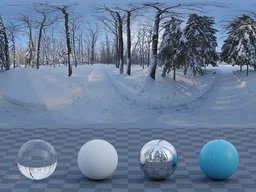 Snowy Forest Path 01