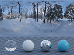 Snowy Forest Path 01
