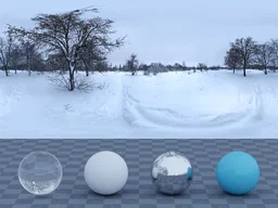 Snowy Park 01