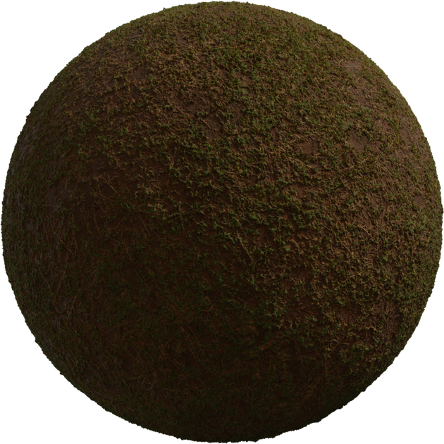 Sparse Grass Texture • Poly Haven